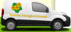 Simon Vir�gkert�szet