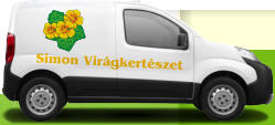 Simon Vir�gkert�szet