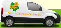Simon Vir�gkert�szet