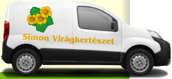 Simon Vir�gkert�szet